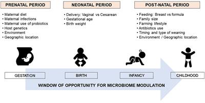 Microbiome Composition and Its Impact on the Development of Allergic Diseases